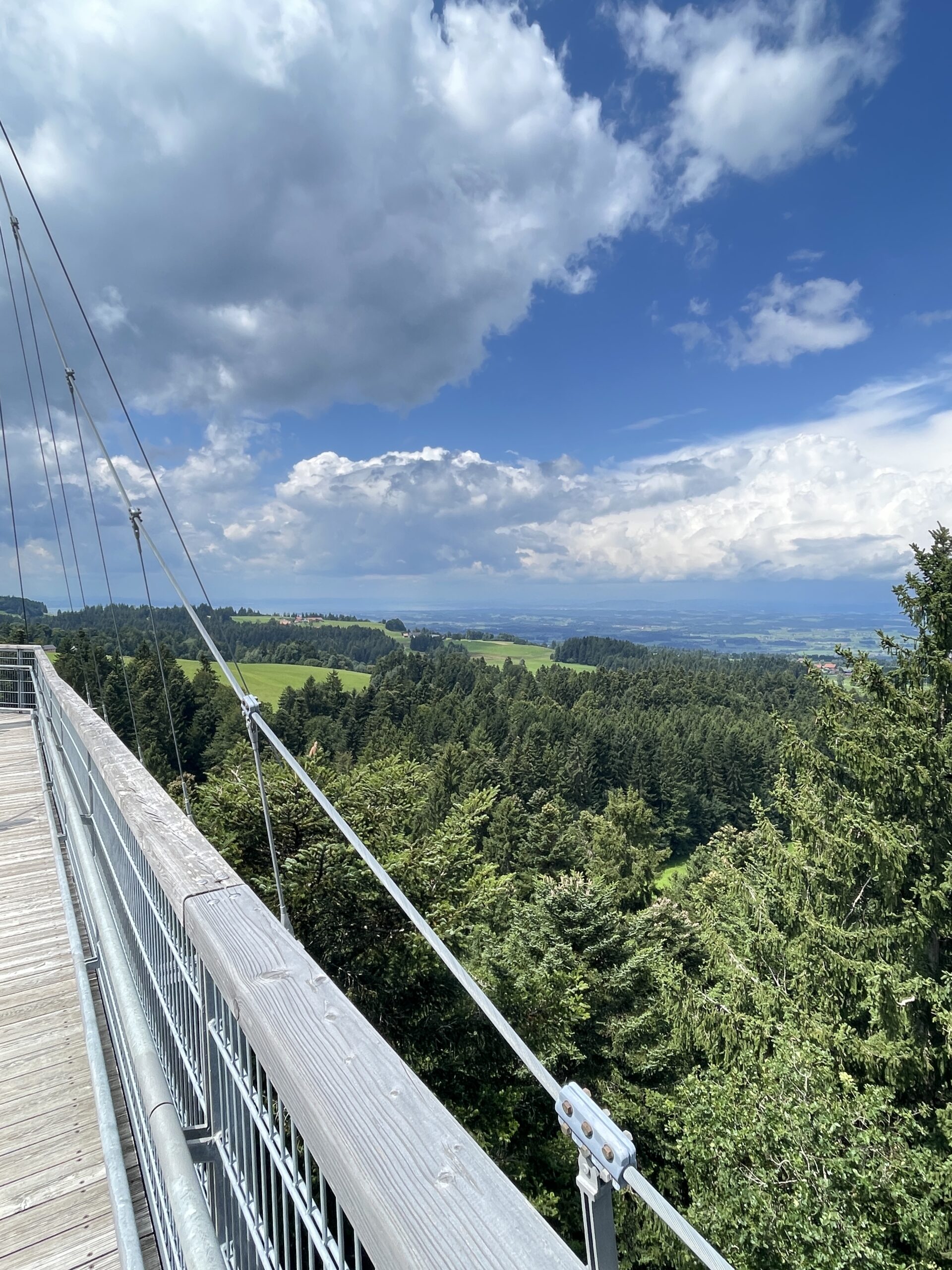 Baumwipfelpfad Allgäu